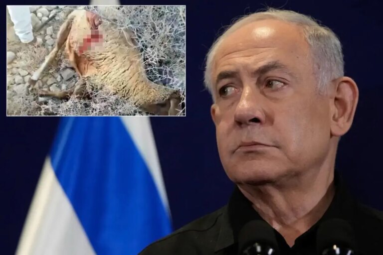 sozun-bittigi-yer-netanyahunun-son-vahseti-8EcvsQB9.jpg